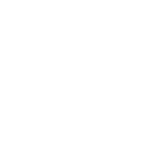Evosoft Israel